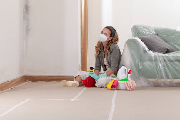 Reliable Mold Removal contractor in Grand Ledge, MI by Car Mold Remediation